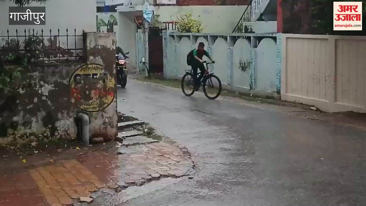 5 mm of rain in half an hour: city submerged, roads waterlogged
