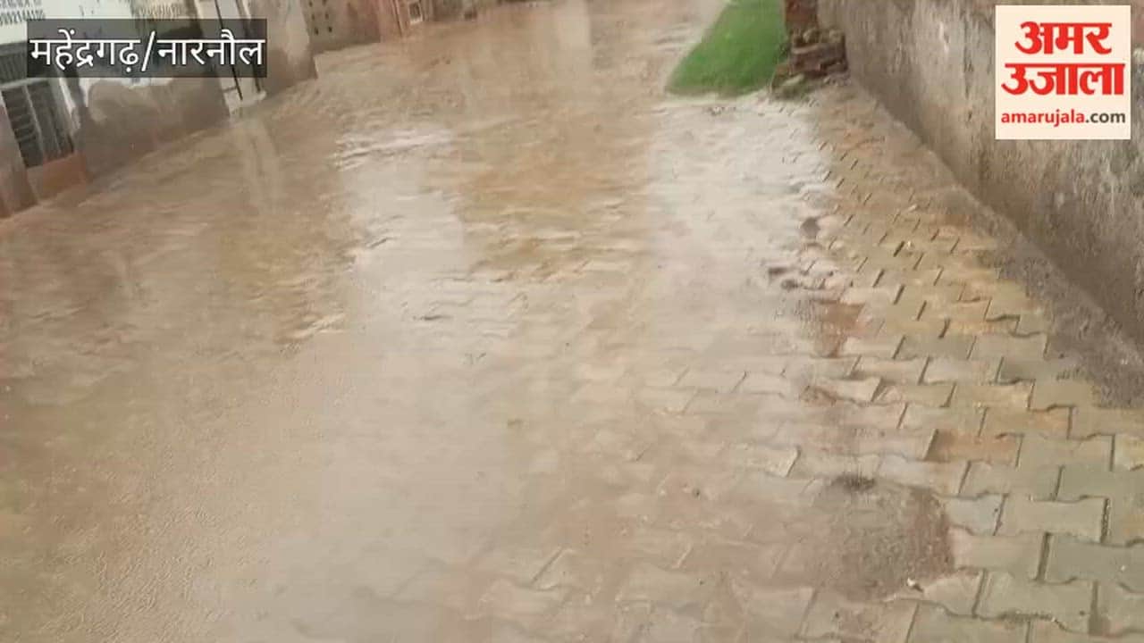 Morning rain makes the weather pleasant in Narnaul; relief from humidity