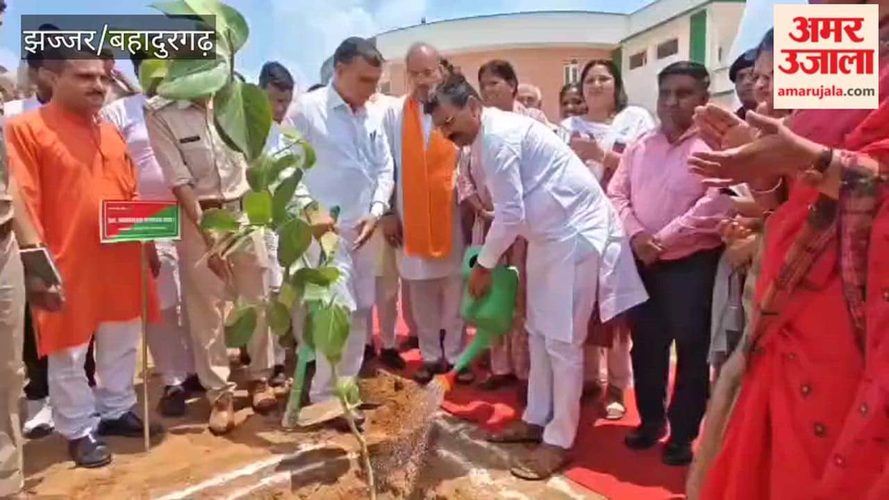 Tree plantation is not merely an option but the greatest need of the hour: Bedi
