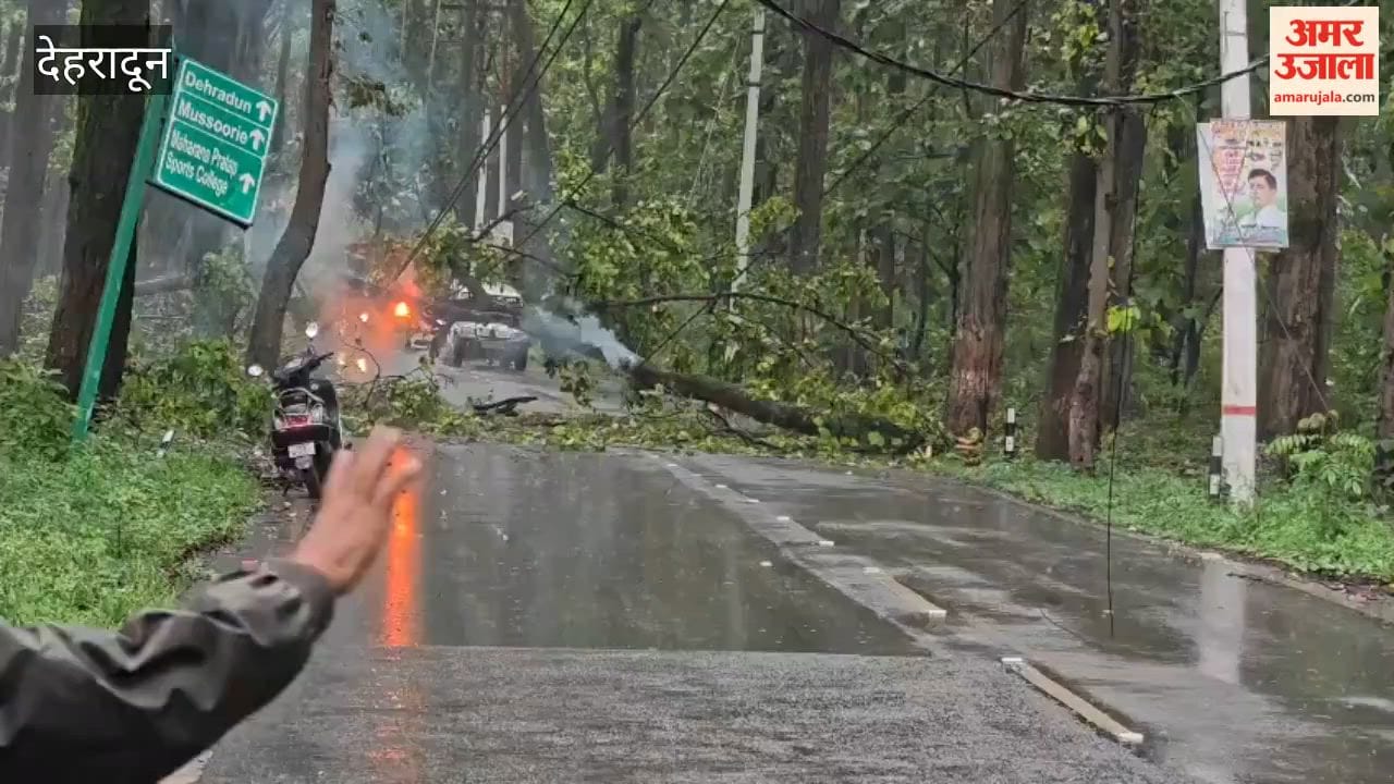 Dehradun: A Sal tree fell onto a 33 kV power line on the main Airport-Raipur road, blocking the route