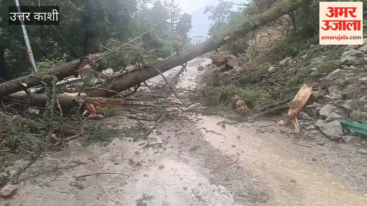 Uttarkashi: Intermittent rainfall; land subsidence and fallen trees reported on the Yamunotri Highway between Syana Chatti and Rana Chatti