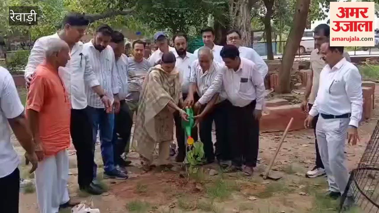 Saplings planted in Rewari's Nehru Park under the 'A Tree in Mother's Name' campaign.
