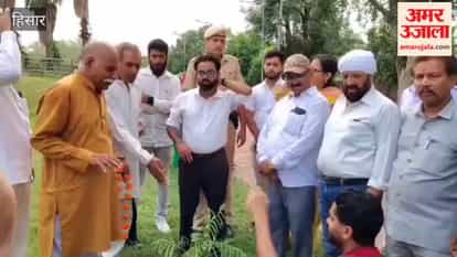 Greenery drive in Hansi featuring 500 saplings; administration conveys message of environmental conservation.