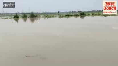 175,530 cusecs of water released from Bijnor Barrage; Ganga's water level rises by 5 cm