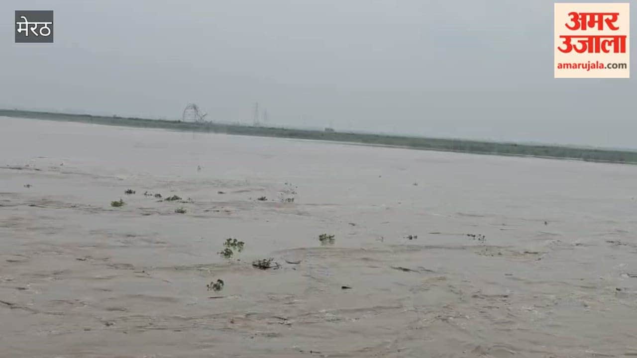 Two towers of 220 KV line washed away in the strong current of Ganga, Meerut-Nahtaur transmission line disrupted