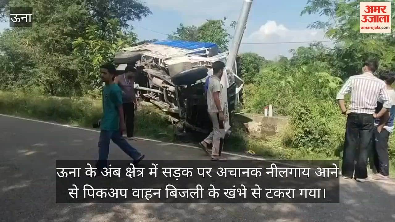 una pickup crashes into electric pole while saving nilgai