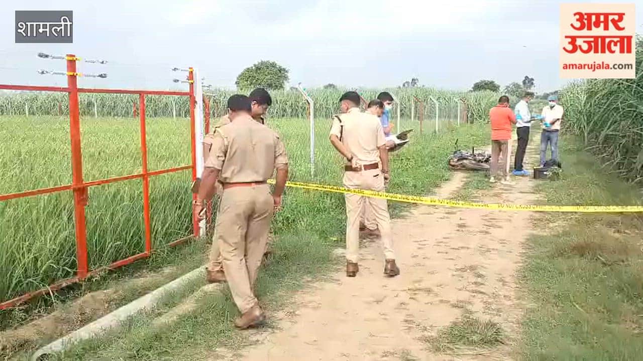 Former Kabaddi Player Shot Dead, Body Found in Sugarcane Field in Shamli