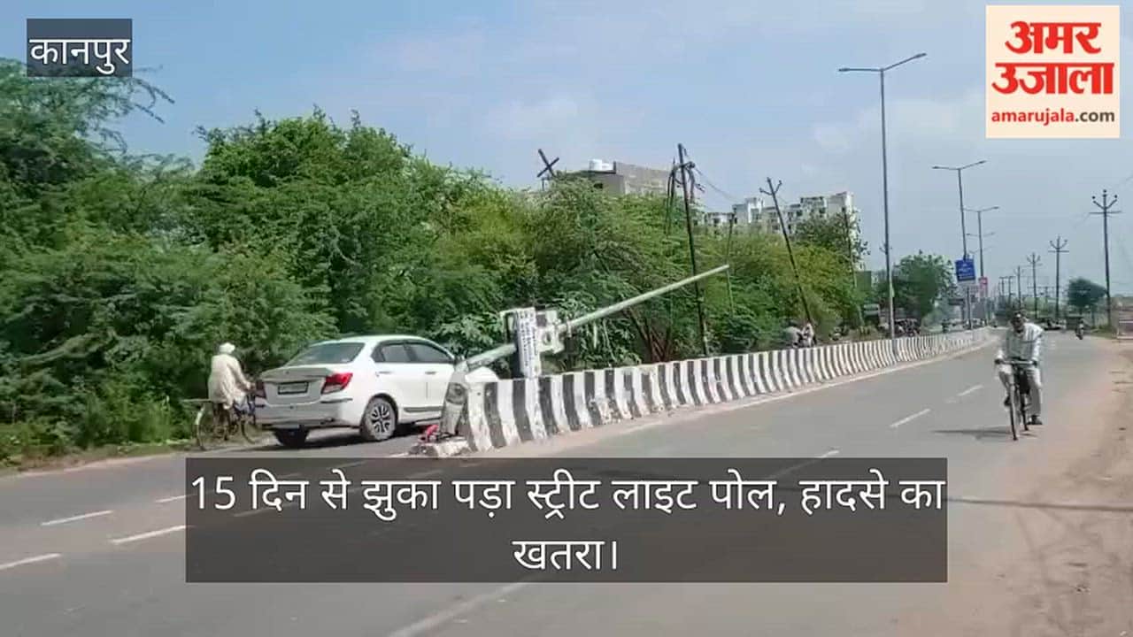 Damaged Streetlight Pole on Divider Remains Unrepaired for 15 Days