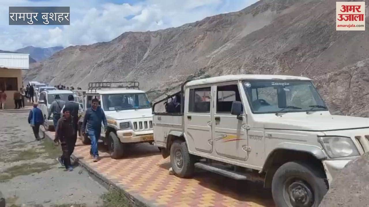 shipki la border trade restarts after six years kinnaur china trade