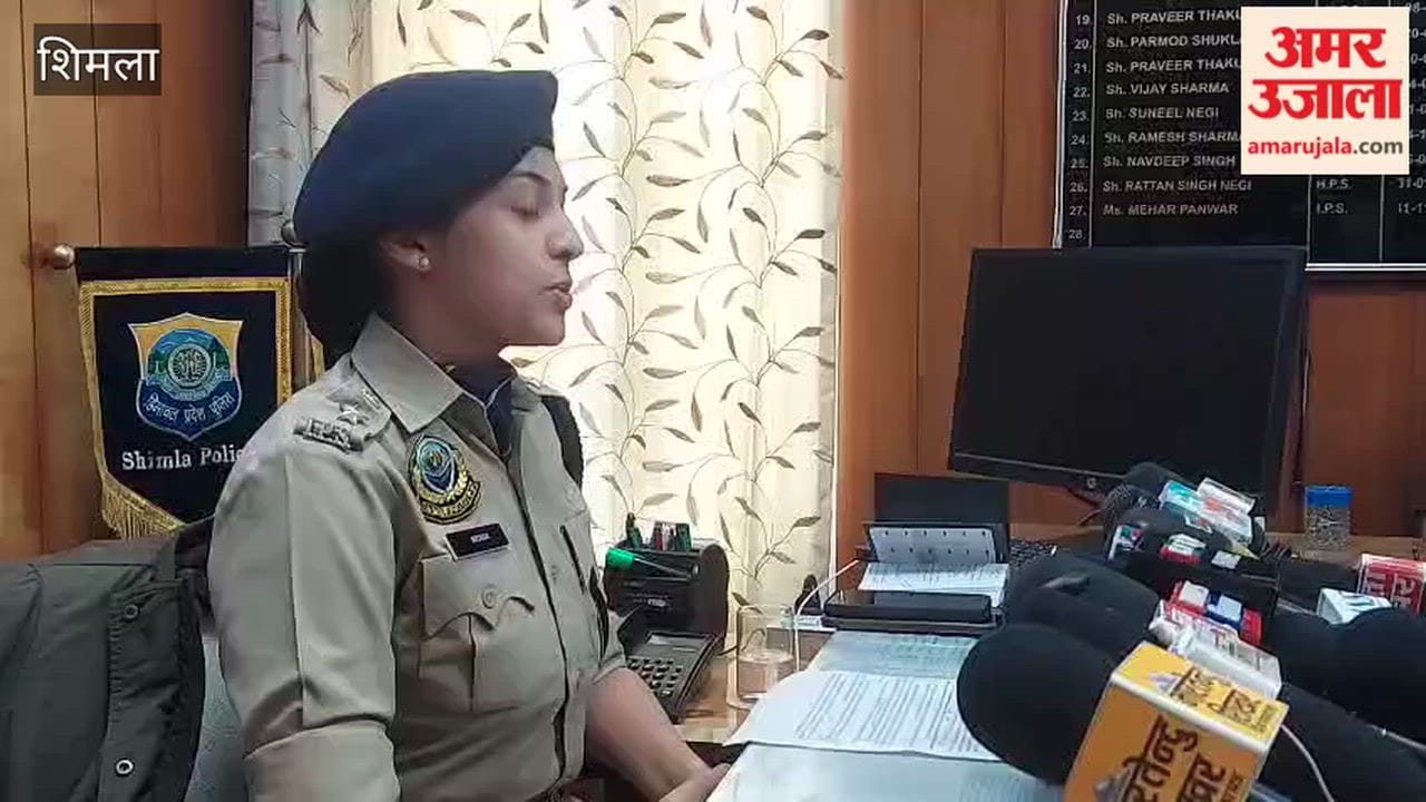 shimla police arrest three chitta kingpins punjab haryana ndps network