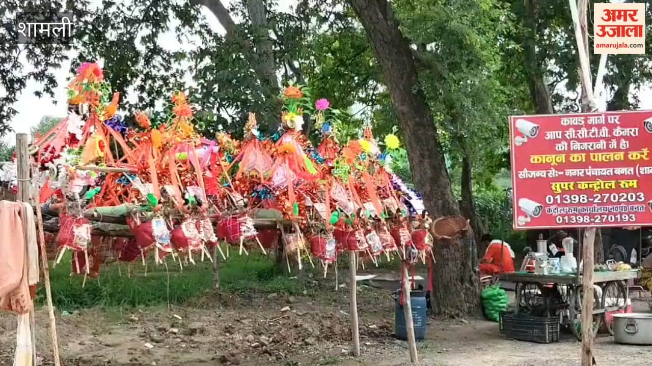 Elderly Women Undertake Kanwar Yatra Praying for Nation's Peace and Prosperity