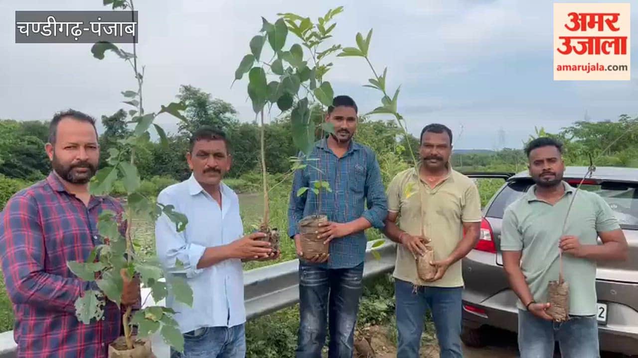 A plantation drive was conducted in Talwara under the instructions of DFO Kulraj Singh
