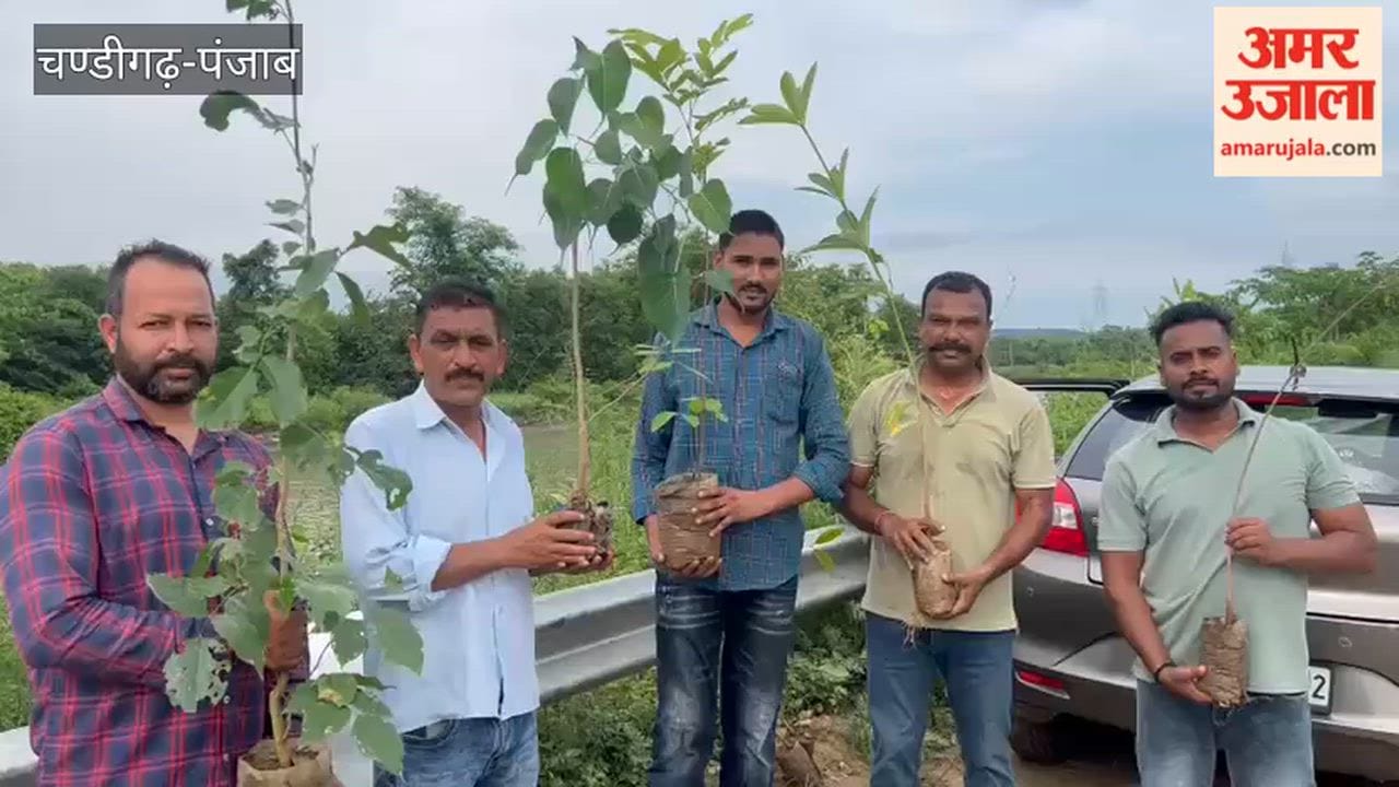 A plantation drive was conducted in Talwara under the instructions of DFO Kulraj Singh
