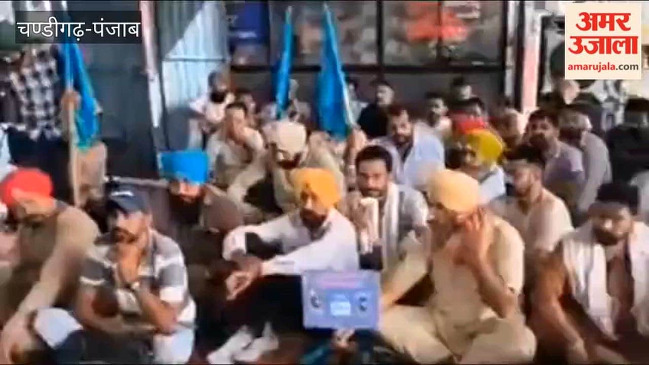 Passengers in Ferozepur inconvenienced by government bus strike.