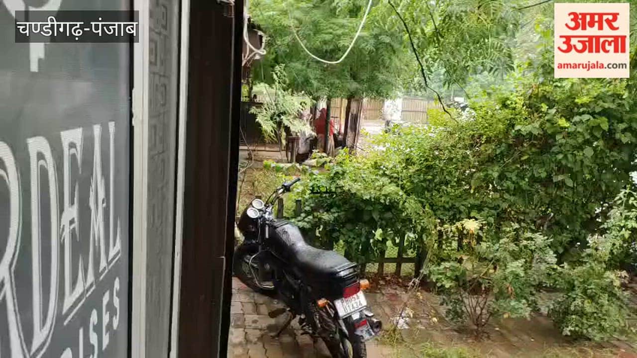 Light rain makes the weather pleasant in Ferozepur.