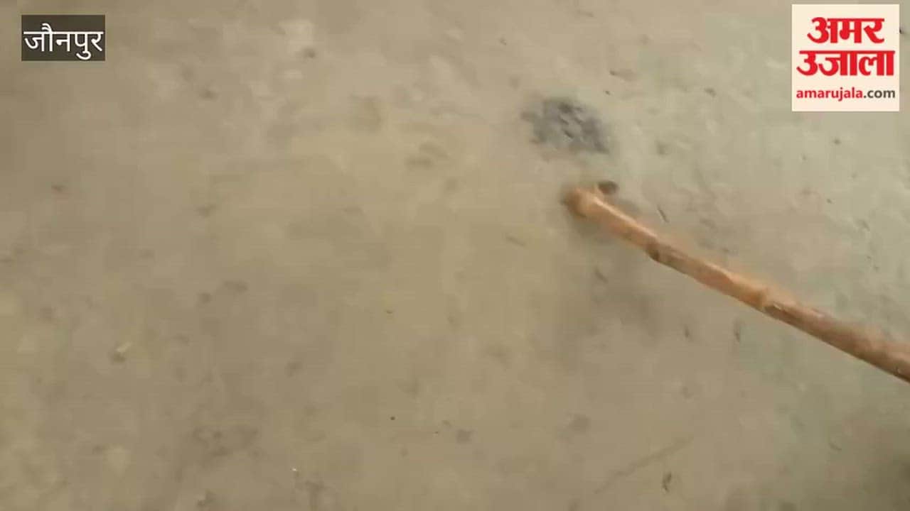 Man dies of snakebite in Jaunpur; family devastated