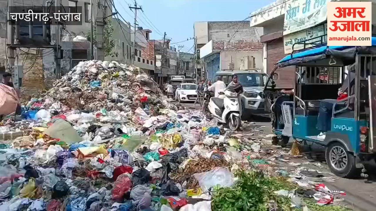 Moga's condition worsens due to sanitation workers' strike; city turns into a heap of garbage.