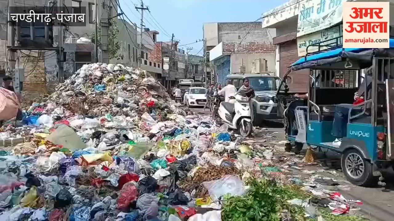 Moga's condition worsens due to sanitation workers' strike; city turns into a heap of garbage.