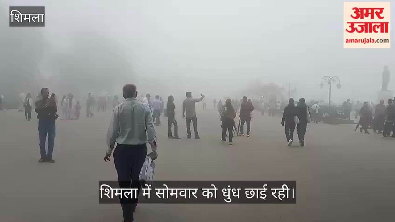 Shimla Weather Update: Queen of Hills Covered in Fog, Tourists Enjoy Scenic Views