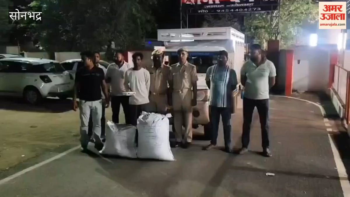 सब्जियों की आड़ में गांजा तस्करी का खुलासा, 50 किलो की खेप के साथ आरोपी गिरफ्तार;VIDEO