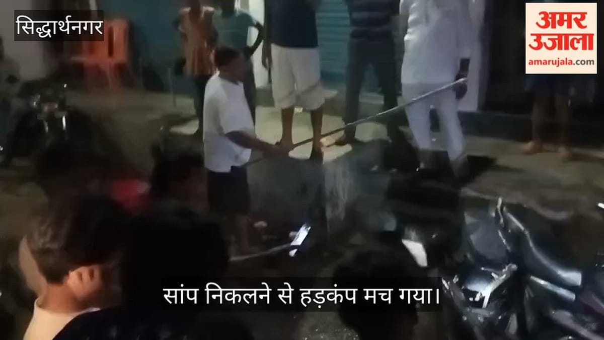 बाइक में घुसा चितर सांप, 50 से अधिक युवकों ने डेढ़ घंटे की मशक्कत के बाद निकाला