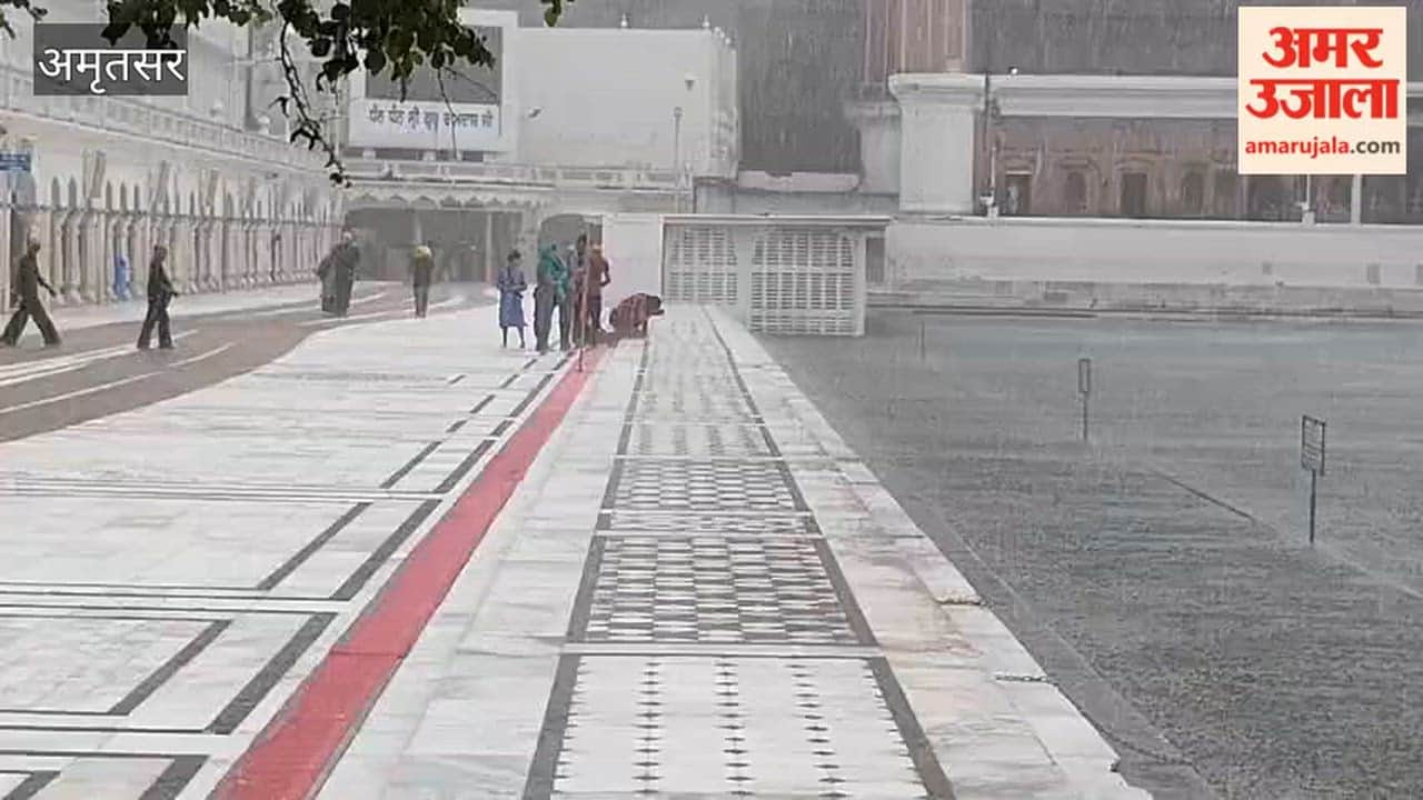 The weather turned pleasant in Amritsar following heavy rainfall.