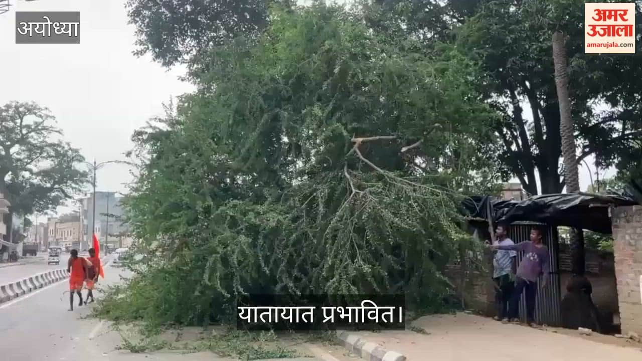 Video: अयोध्या में राम पथ पर पेड़ गिरने से यातायात प्रभावित, मार्ग हुआ संकरा