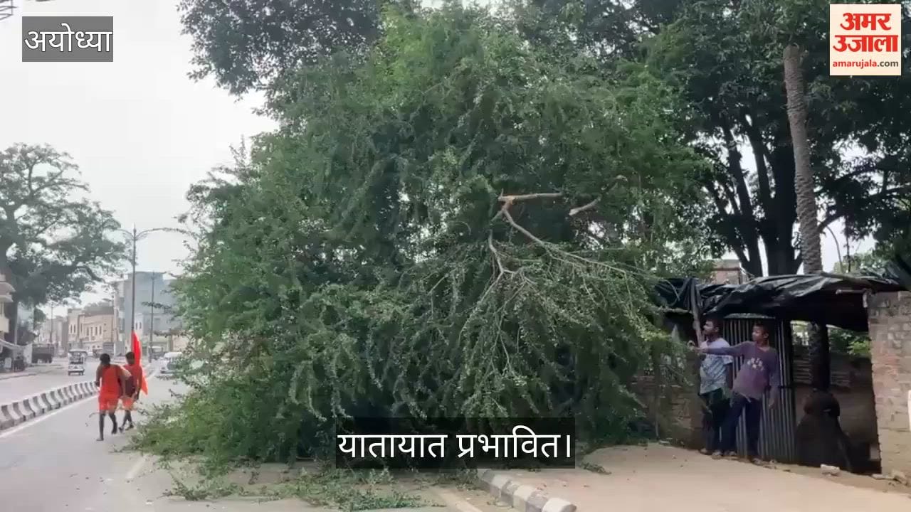 Video: अयोध्या में राम पथ पर पेड़ गिरने से यातायात प्रभावित, मार्ग हुआ संकरा