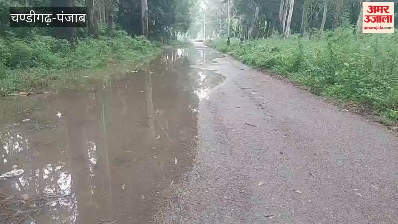Heavy rains inundate township roads