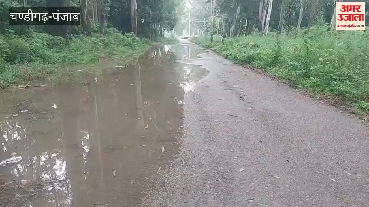 Heavy rains inundate township roads