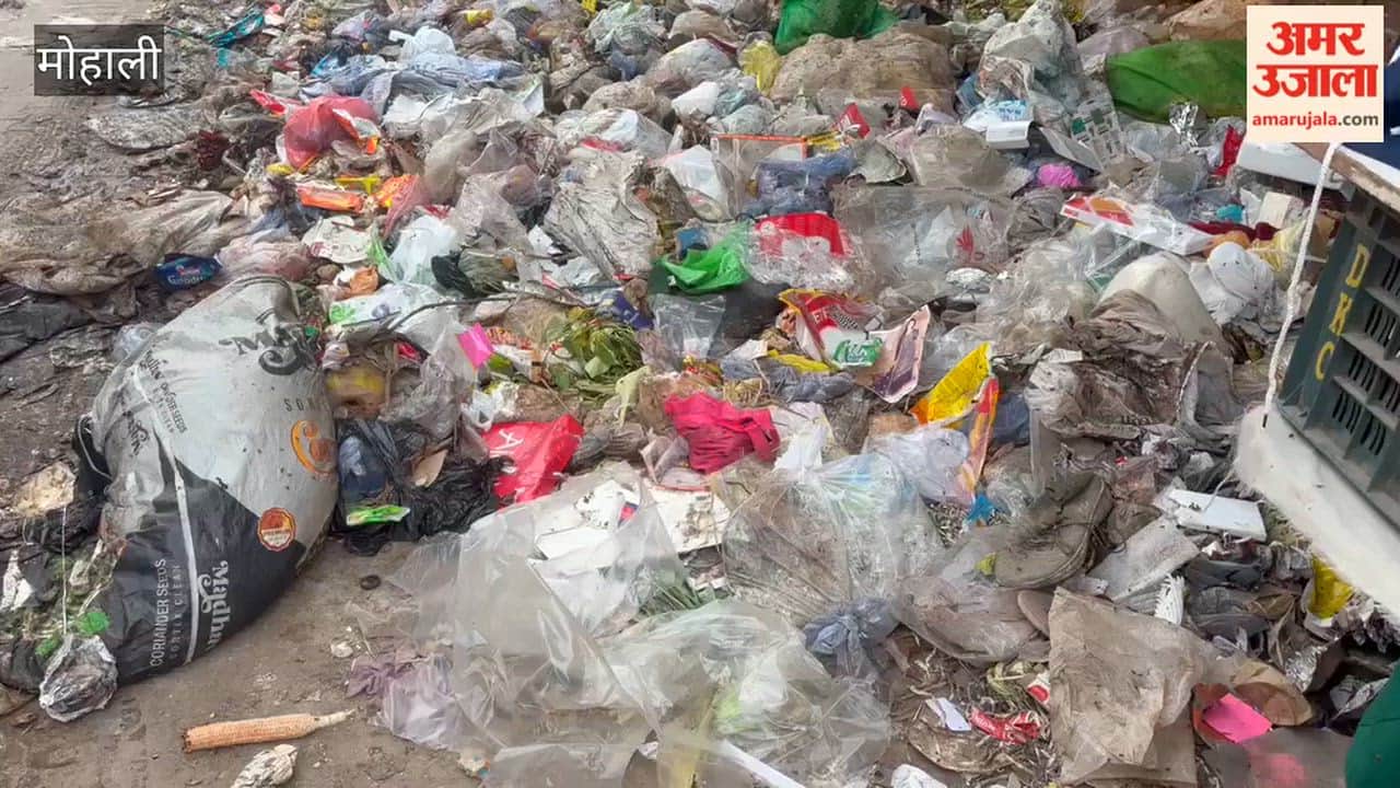 Shopkeepers in Nayagaon main market distressed by garbage piles