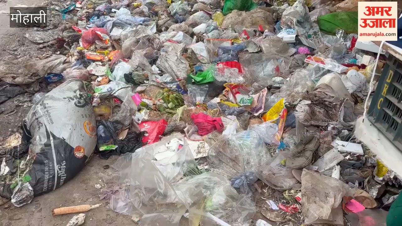 Shopkeepers in Nayagaon main market distressed by garbage piles