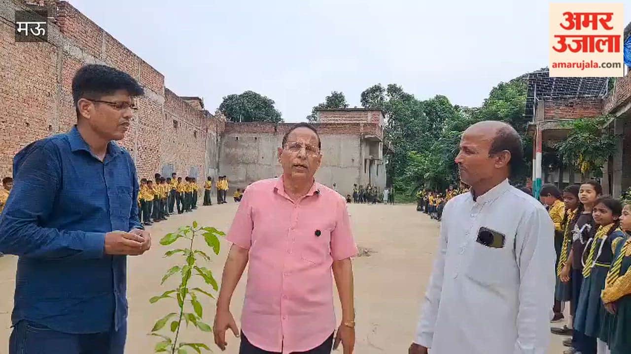 Pledge to plant saplings equal number wheels after buying new car