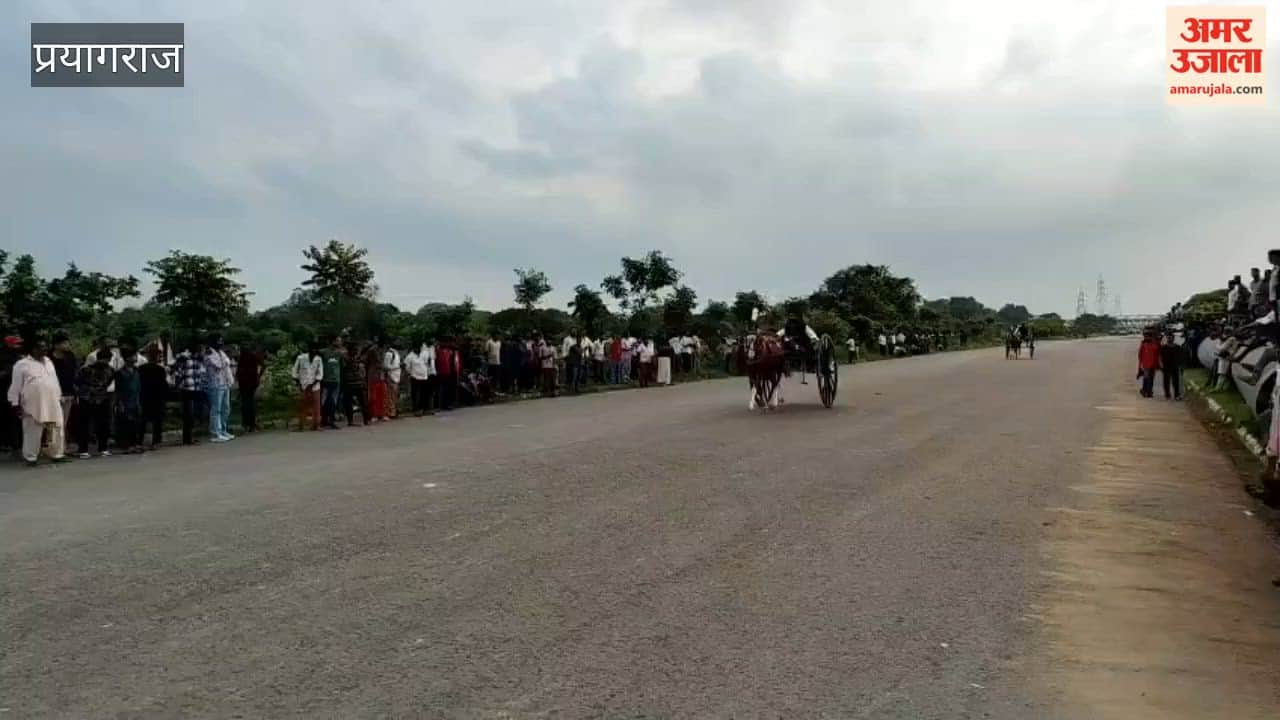 Jockeys displayed their prowess in the single-horse race competition.