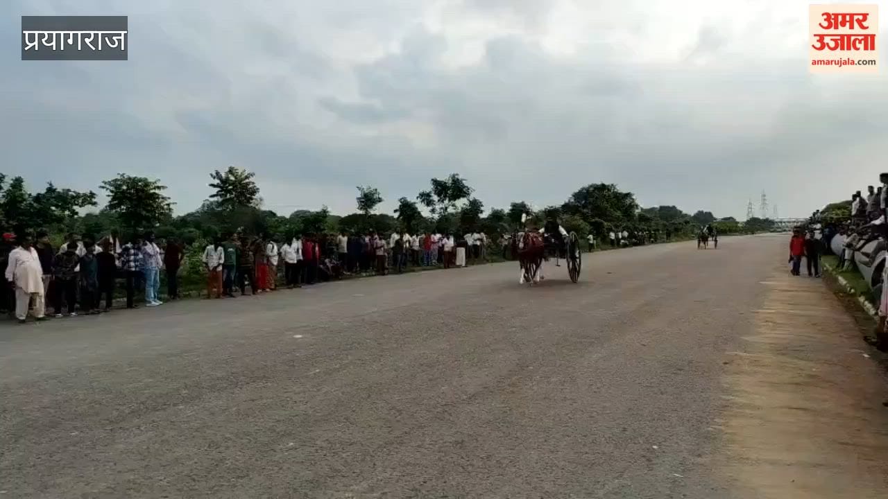Jockeys displayed their prowess in the single-horse race competition.