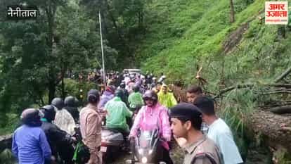 Haldwani-Nainital road blocked by fallen pine tree at Baldiyakhan; traffic restored within half an hour.