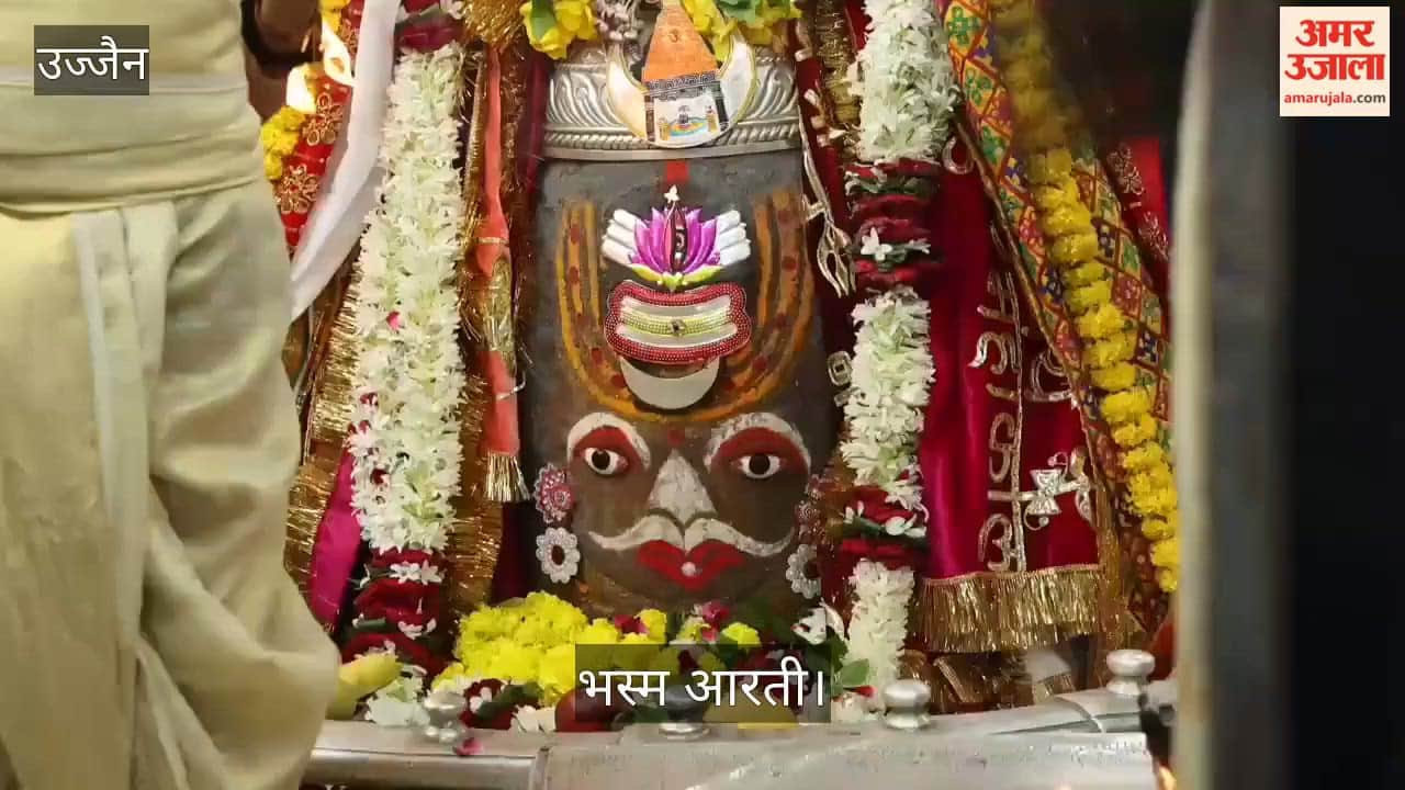 Chandra Darshan on Mahakal's Head During Bhasma Aarti