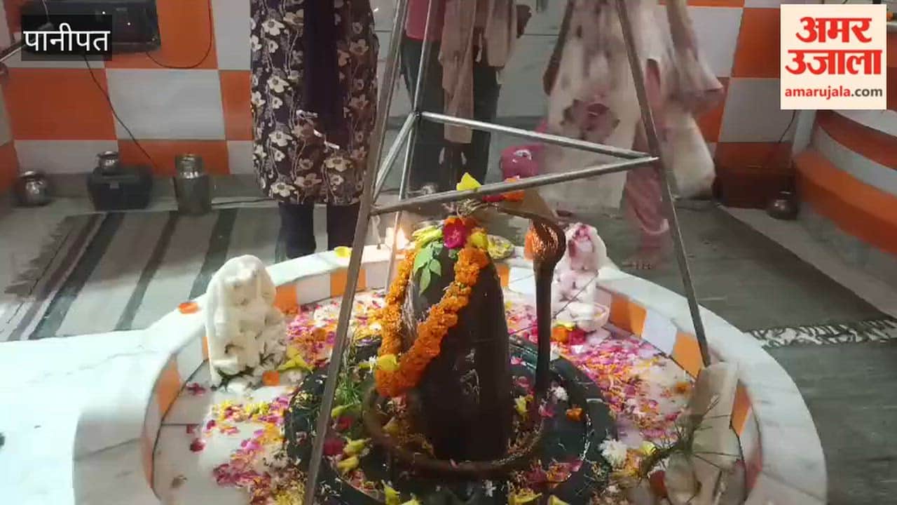 Wave of Devotion During Sawan: Chants of 'Har-Har Mahadev' Resonate in Panipat's Shiva Temples Since Early Morning