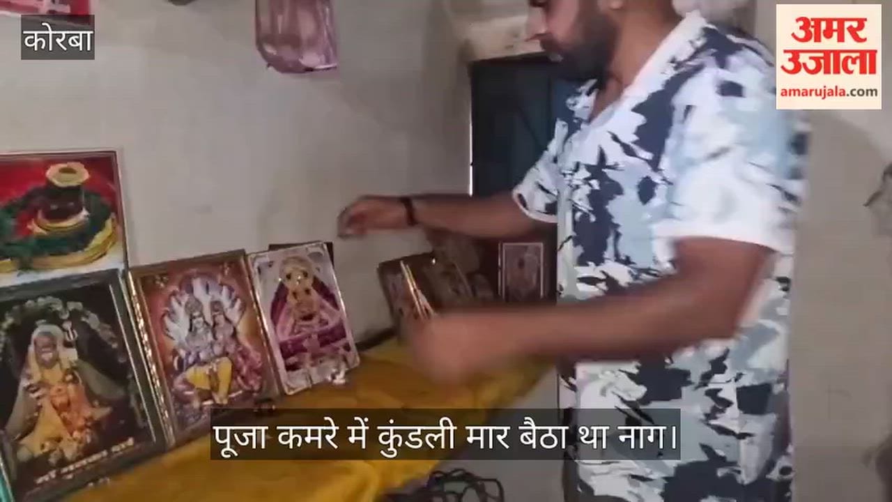 Cobra found coiled near idols in prayer room during Sawan, became center of faith Watch video.