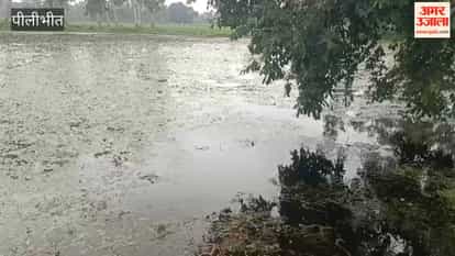 Body of a young man found in a pond in the Gajraula area