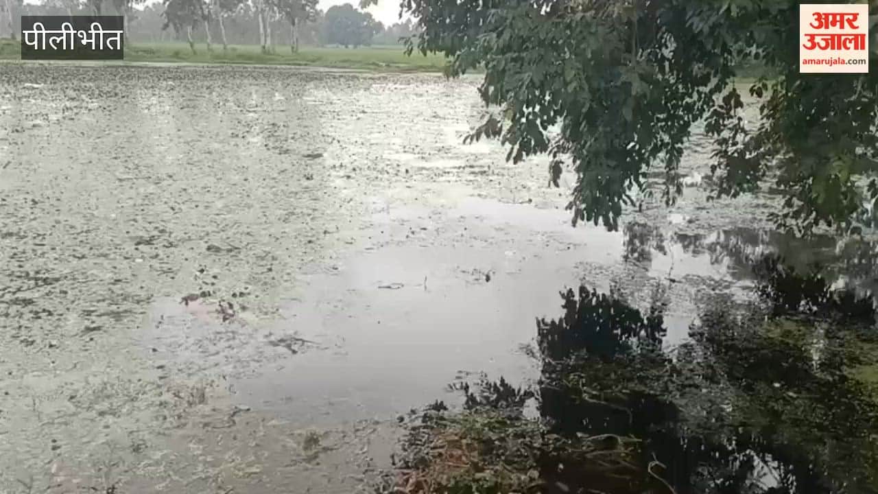 Body of a young man found in a pond in the Gajraula area