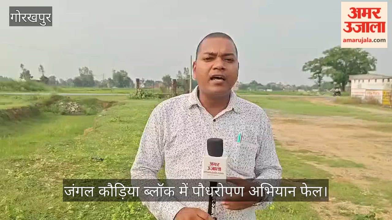 Afforestation drive fails in Jungle Kauria block; saplings destroyed by animals due to lack of tree guards.