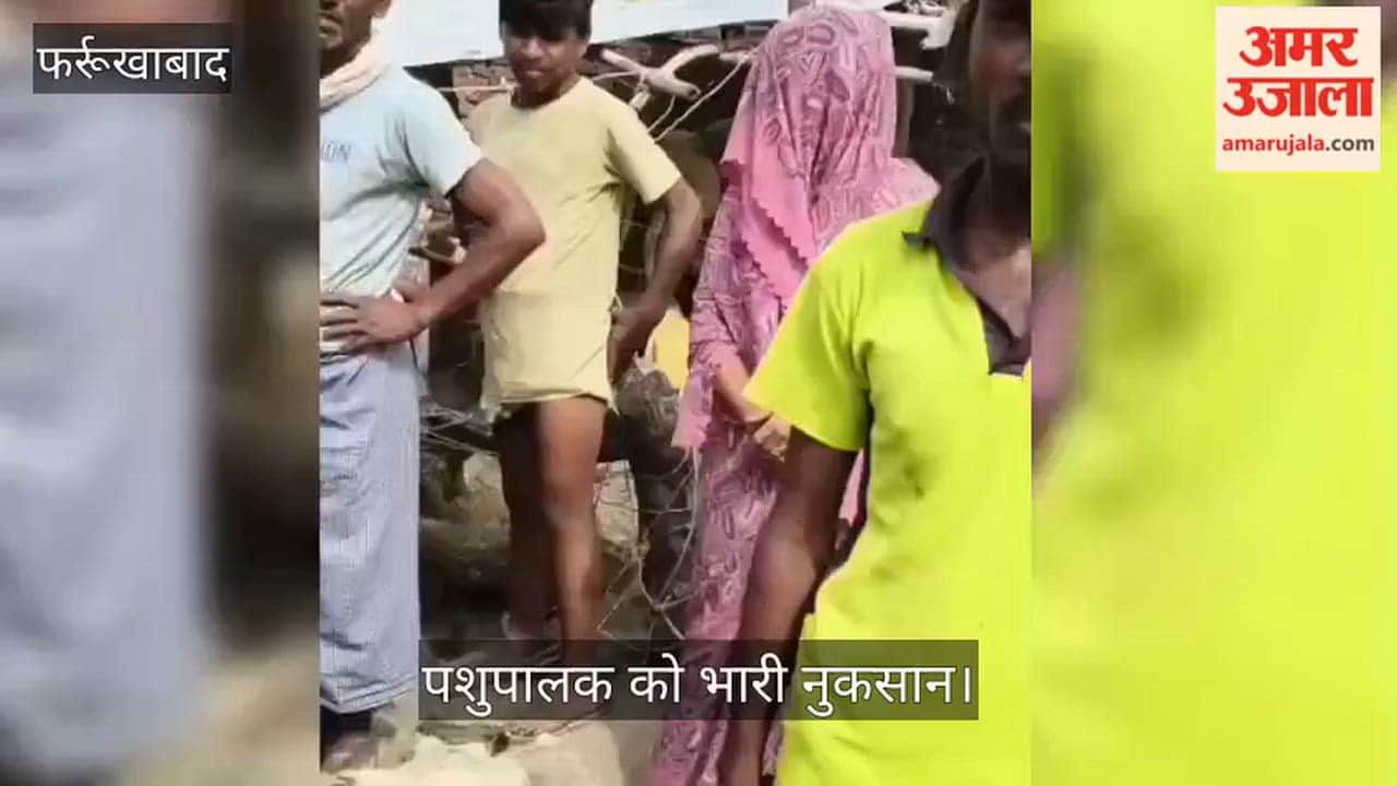Pet Dog Attack Kills 20 Sheep in Farrukhabad Village