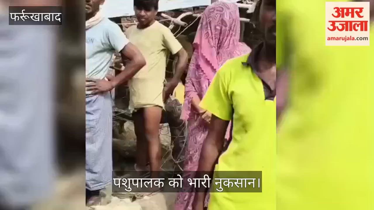 Pet Dog Attack Kills 20 Sheep in Farrukhabad Village
