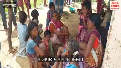 Tiger terror in Balaghat: Tiger drags away woman sleeping in her home; woman dies.