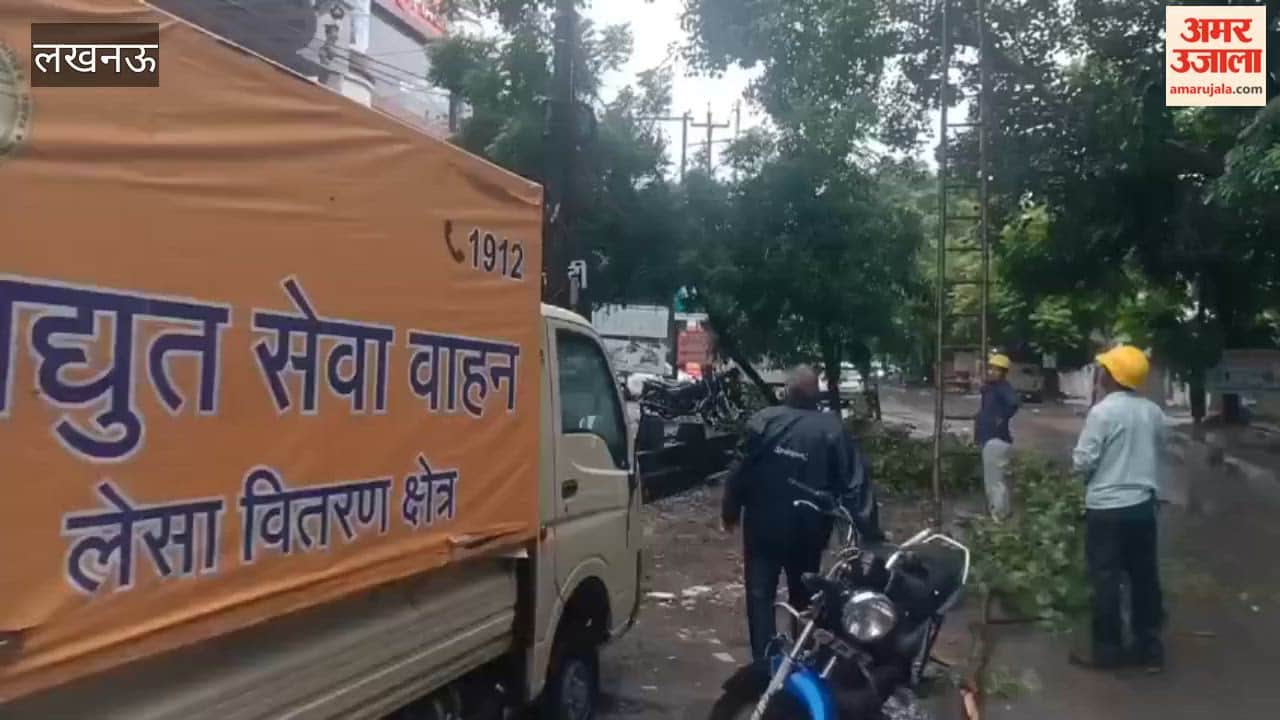 लखनऊ में बिजली विभाग की टीम तारों के आसपास से कर रही पेड़ों की छंटाई