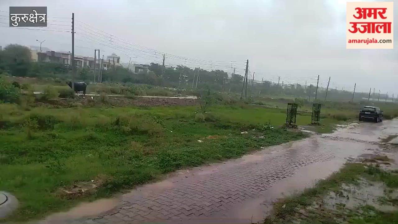 Rain starts in Kurukshetra; likely to continue throughout the day.