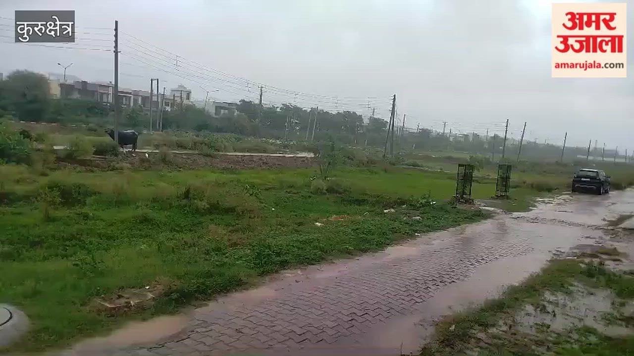 Rain starts in Kurukshetra; likely to continue throughout the day.