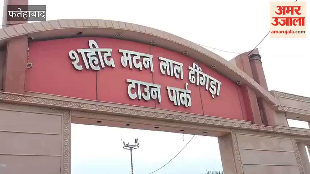 social service organization has been serving free herbal juice to people in Tohana, Fatehabad, for two and a half months