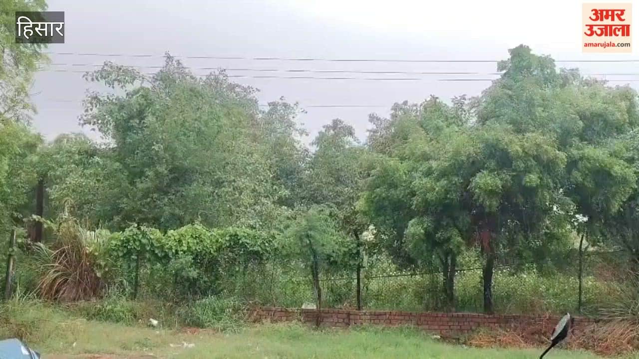 Rain brings relief from humid heat in Hansi; a golden shower for farmers.